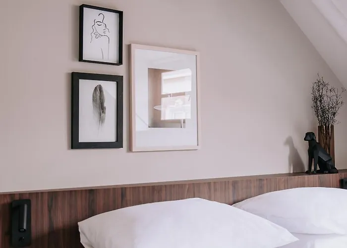 The Guest 's-Hertogenbosch (Den Bosch)