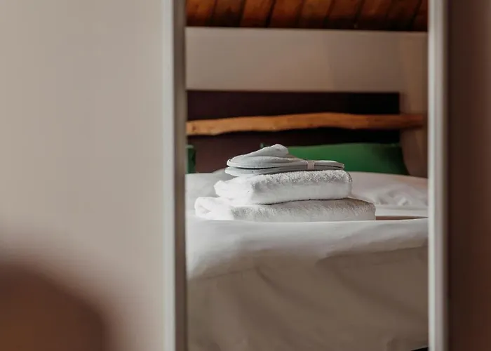 The Guest * 's-Hertogenbosch (Den Bosch)