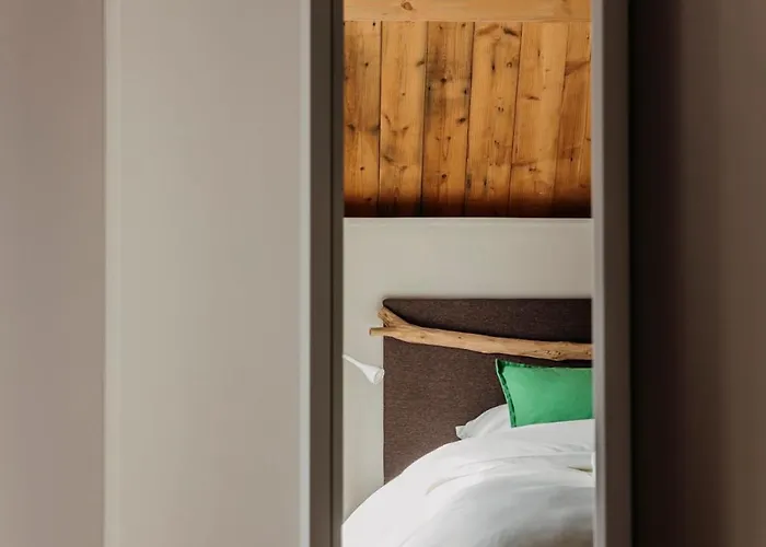 The Guest 's-Hertogenbosch (Den Bosch)