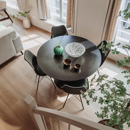 The Guest * Ден Бош