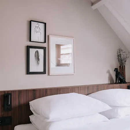 The Guest Ден Бош